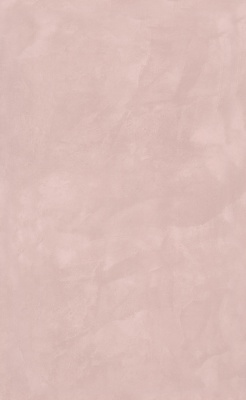 Фоскари розовый глянцевый 25x40x0,8
