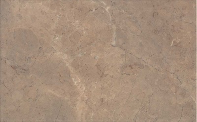 Мармион коричневый глянцевый 25x40x0,8