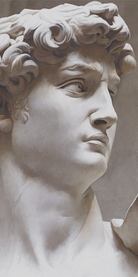 Ковер Давид 2 матовый обрезной 119,5x238,5x1,1 Ковер Давид 2 матовый обрезной 119,5x238,5x1,1