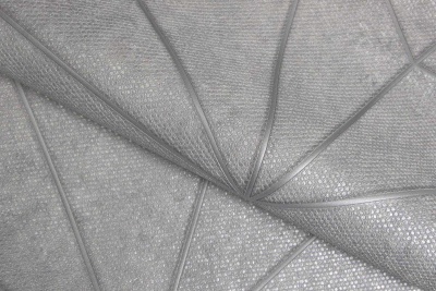 Обои виниловые Кутюр мотив, серый Обои виниловые Кутюр мотив, серый