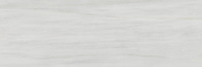 Белем серый светлый глянцевый обрезной 30x89,5x0,9