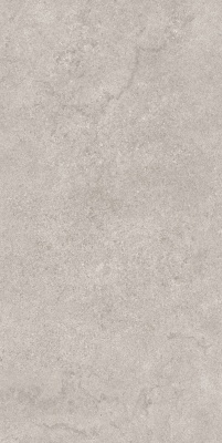 Портленд серый светлый матовый обрезной 60x119,5x2