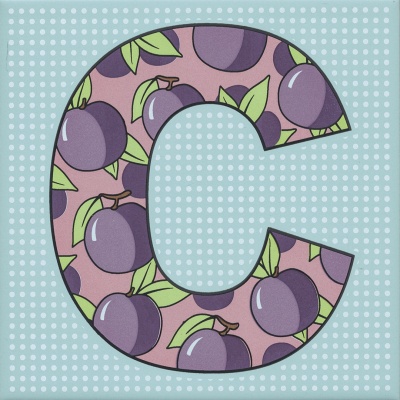 Декор Сад-огород «Слива» матовый 20x20x0,69