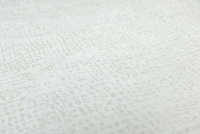 Обои виниловые на флизелиновой основе Трофи мотив, серый светлый