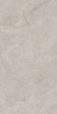 Портленд серый светлый матовый обрезной 60x119,5x2